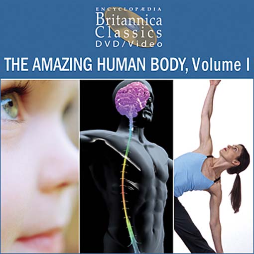 Click image to view full cover